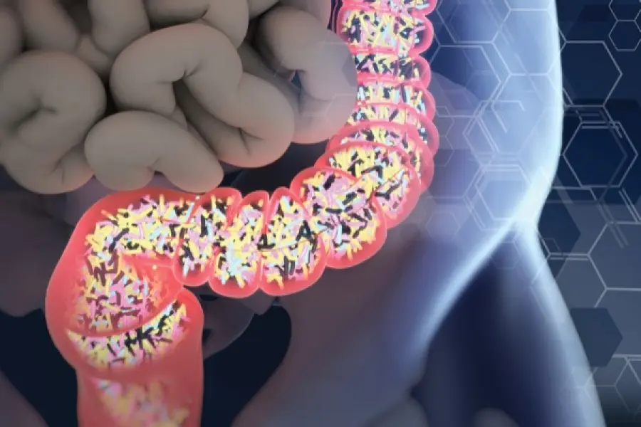 Clostridium difficile, l’evoluzione del super batterio intestinale